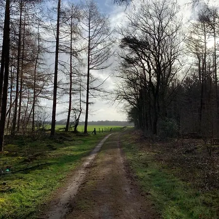 'T Holten Huus - Puur Genieten In Het Bos. Norg Exterior photo