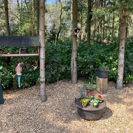 'T Holten Huus - Puur Genieten In Het Bos. Norg Exterior photo
