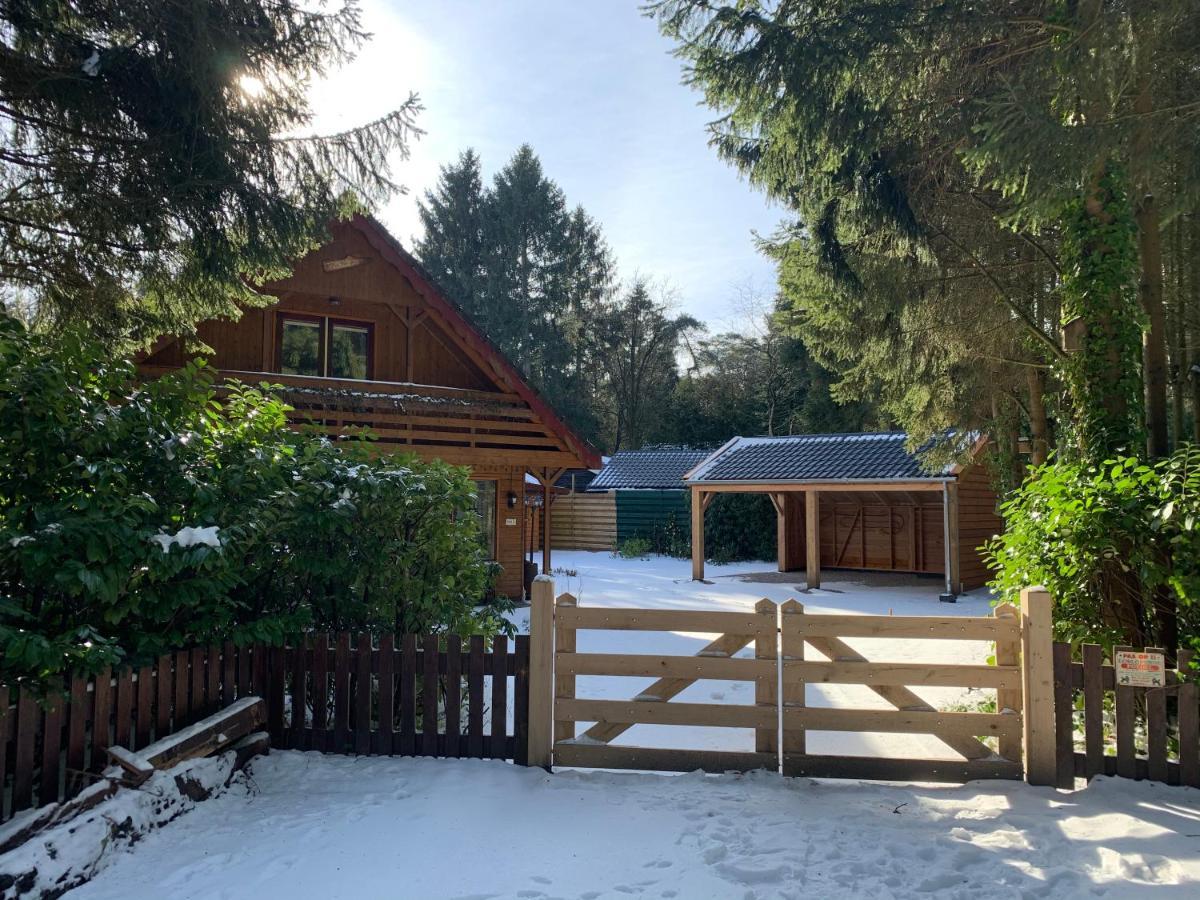 't Holten Huus - Puur Genieten In Het Bos. Holiday home *