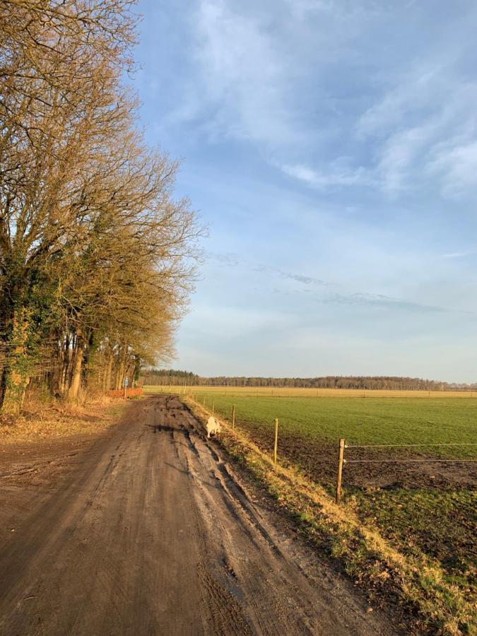 't Holten Huus - Puur Genieten In Het Bos.