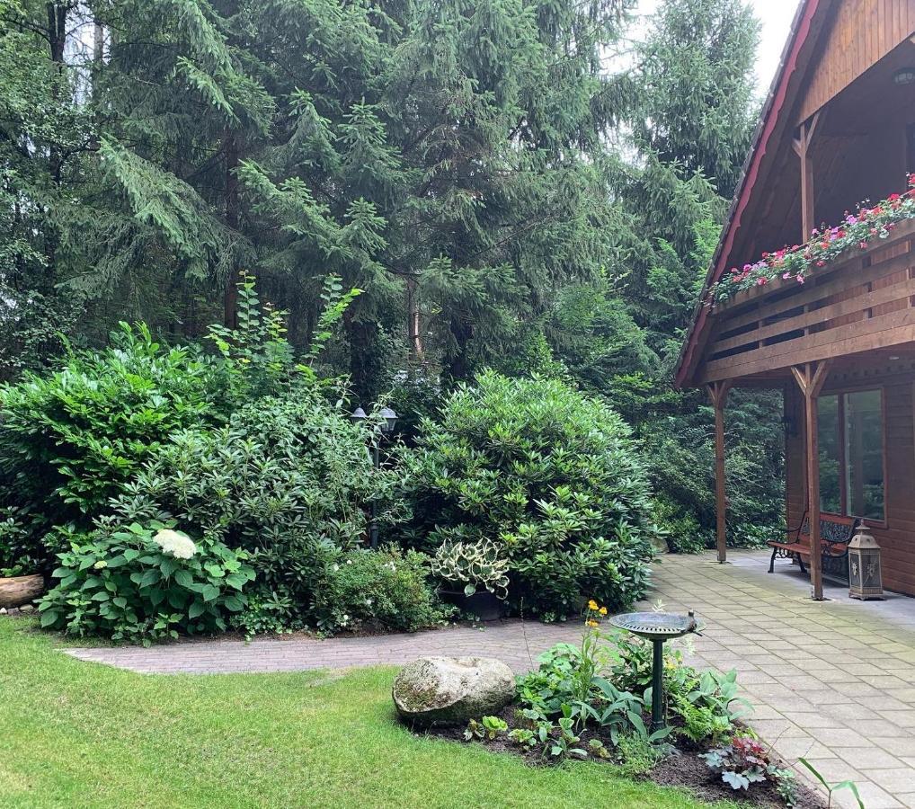 't Holten Huus - Puur Genieten In Het Bos. Holiday home Norg